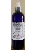 DESINFECT + 200 ML DESINFECTANT BACTERICIDE, FONGICIDE ET VIRUCIDE PROFESSIONNEL
